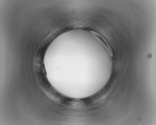 X0000091060215200709041205