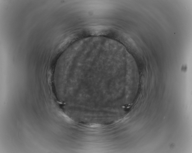 X0000091060219200709041205