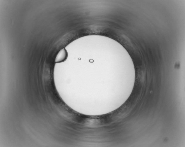 X0000091060220200709041205