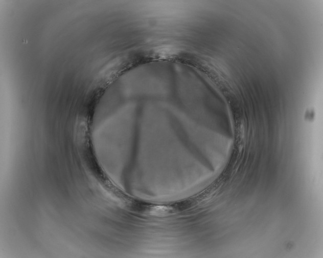 X0000091060222200709041205