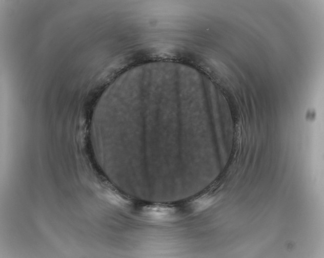 X0000091060223200709041205