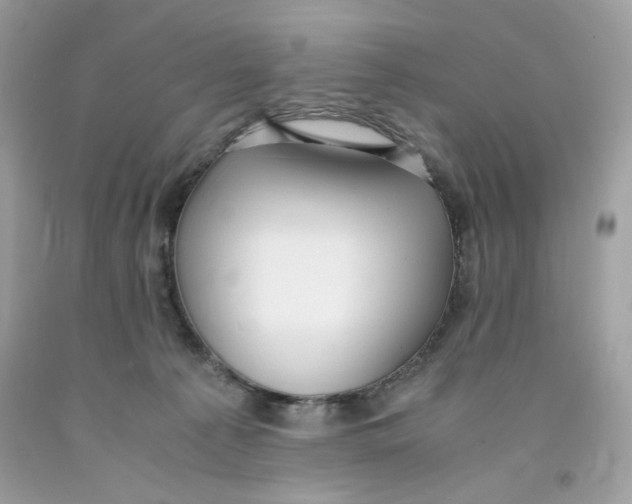 X0000091060225200709041205