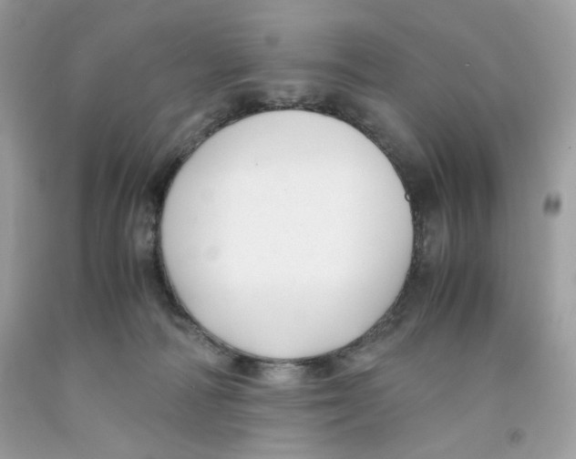 X0000091060226200709041205