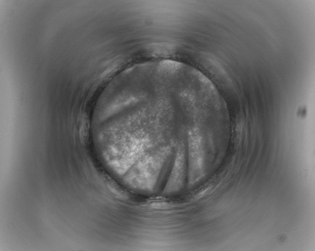 X0000091060228200709041205