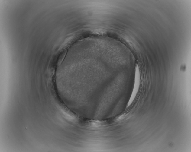 X0000091060229200709041205