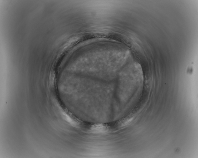 X0000091060231200709041205