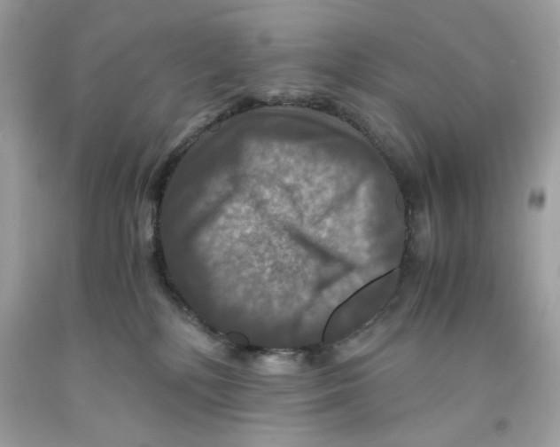 X0000091060232200709041205