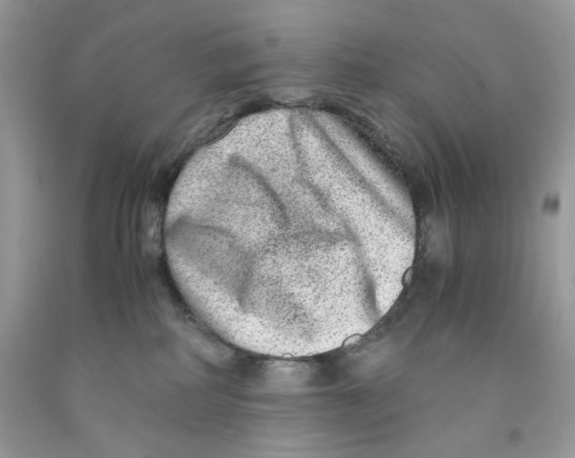 X0000091060234200709041205