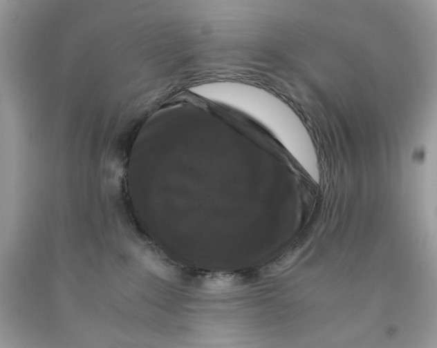 X0000091060235200709041205