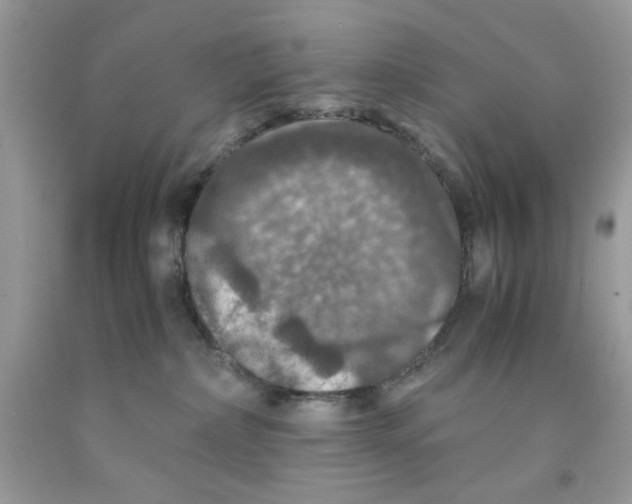 X0000091060236200709041205