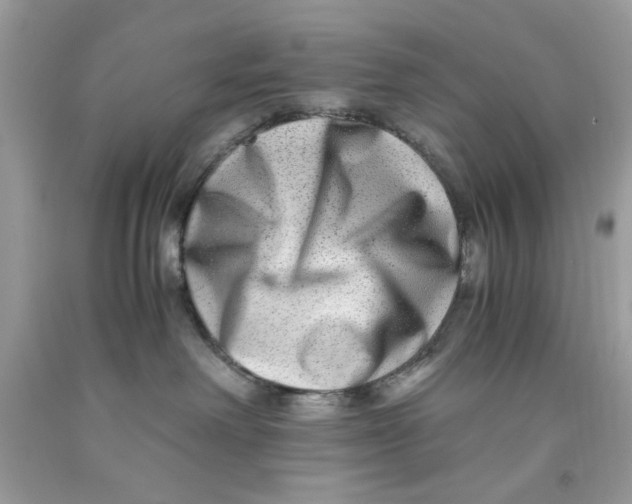 X0000091060238200709041205