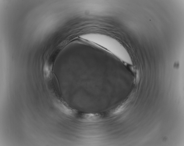 X0000091060239200709041205