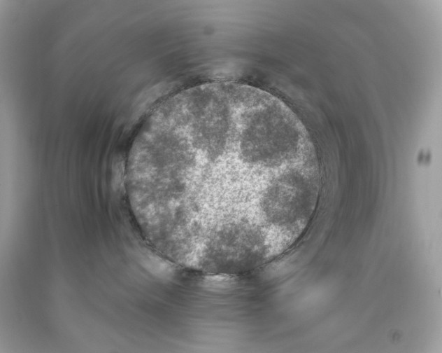 X0000091060240200709041205