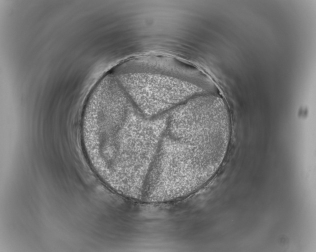 X0000091060241200709041204