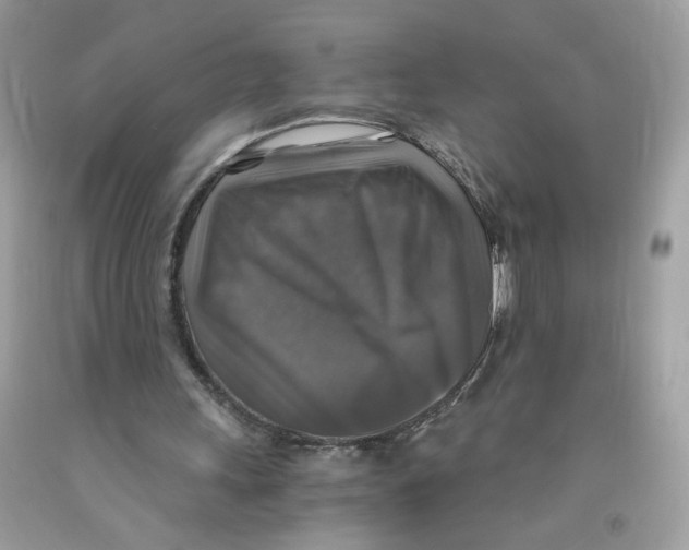 X0000091060243200709041204