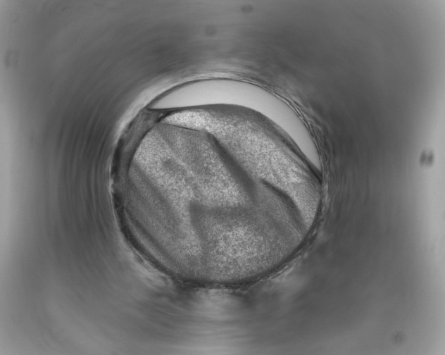 X0000091060244200709041204