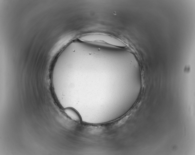 X0000091060245200709041204