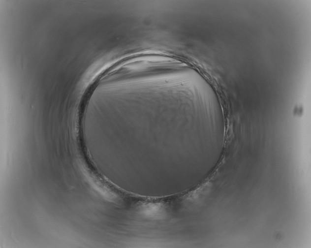 X0000091060247200709041204