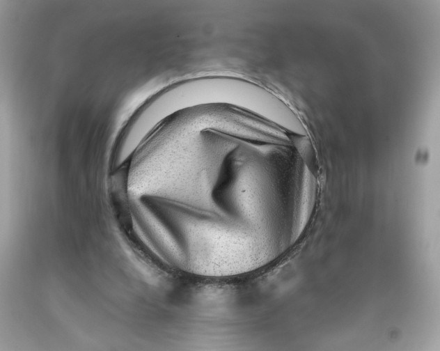 X0000091060248200709041204