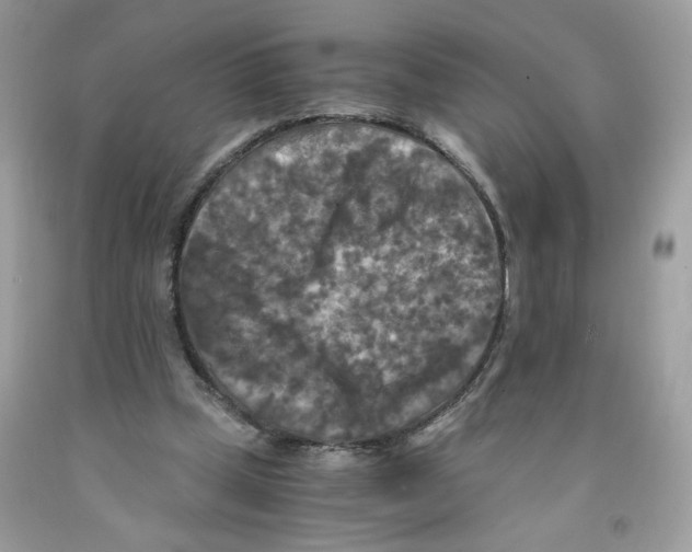 X0000091060249200709041204