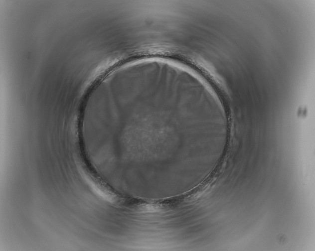 X0000091060250200709041204