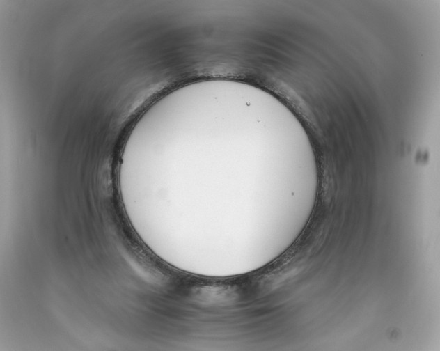 X0000091060251200709041204