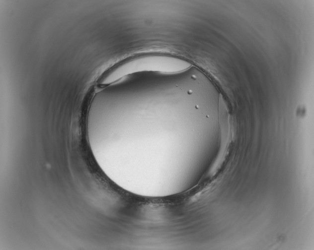 X0000091060252200709041204