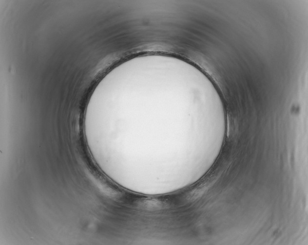 X0000091060253200709041204