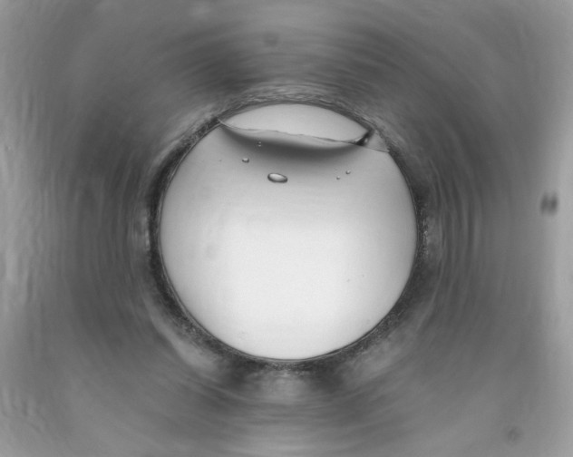 X0000091060254200709041204