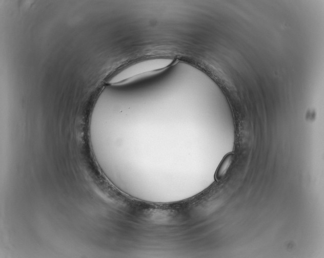 X0000091060255200709041204