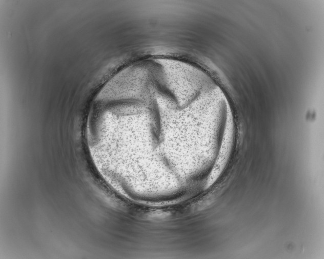 X0000091060257200709041205