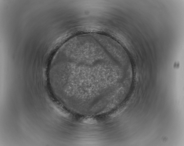 X0000091060258200709041205