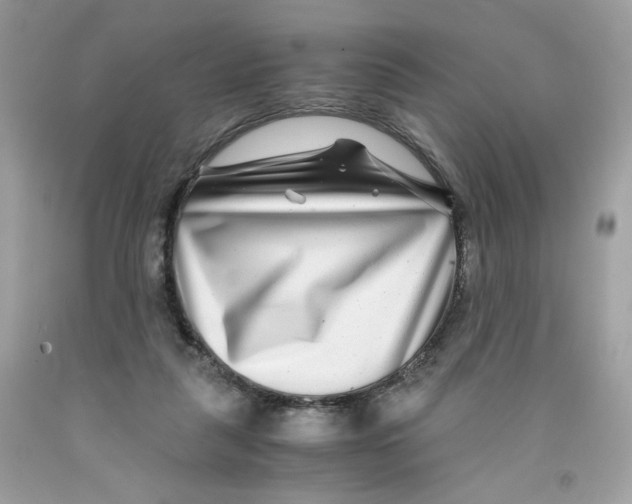 X0000091060259200709041205