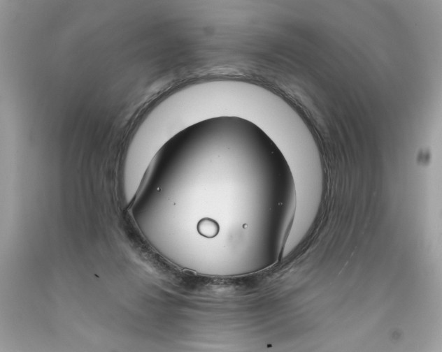 X0000091060260200709041205