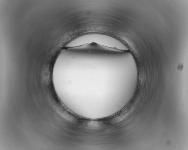 X0000091060261200709041205