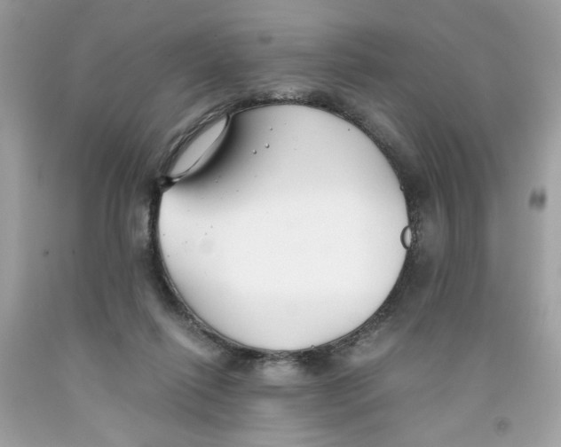 X0000091060262200709041205