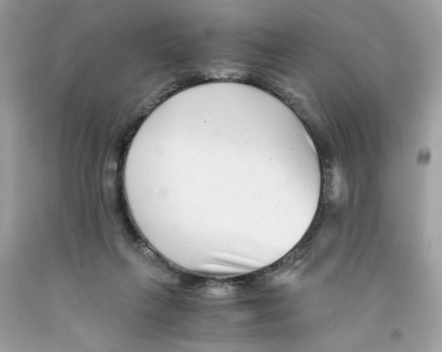 X0000091060263200709041205