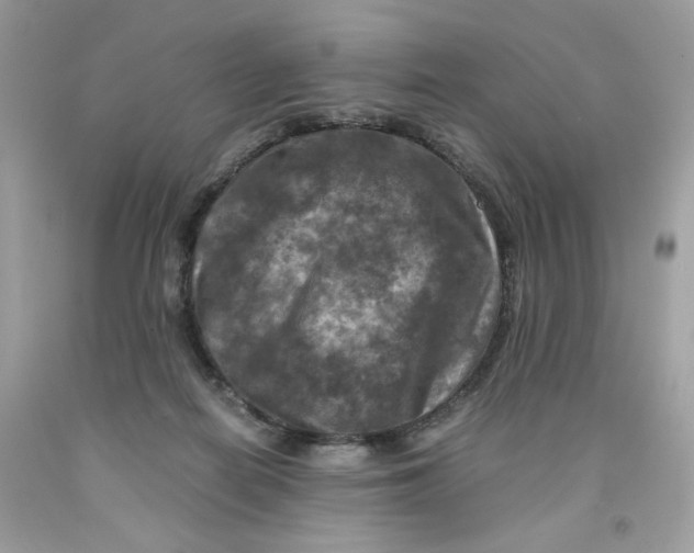 X0000091060266200709041205