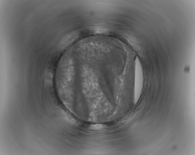 X0000091060269200709041205