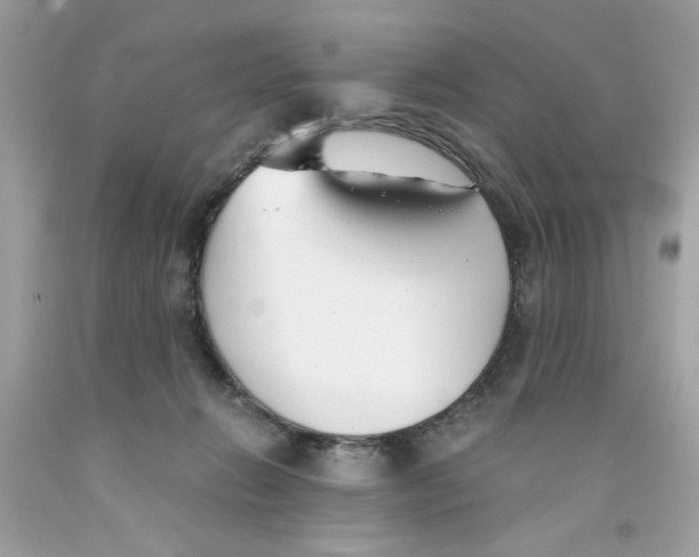 X0000091060270200709041205