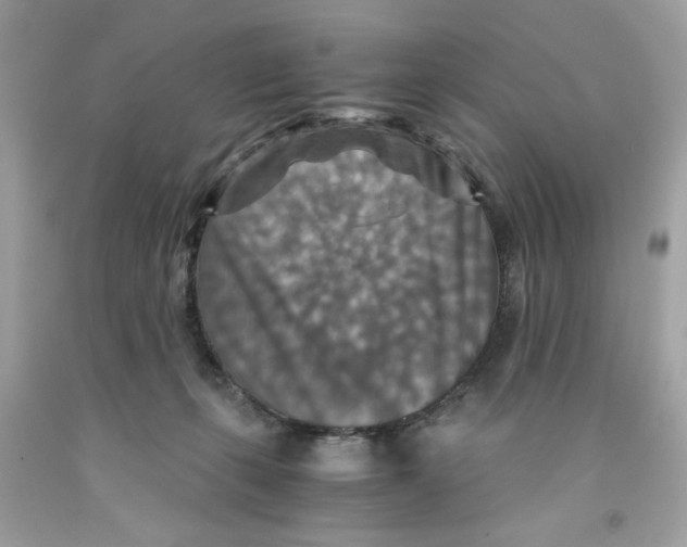 X0000091060271200709041205