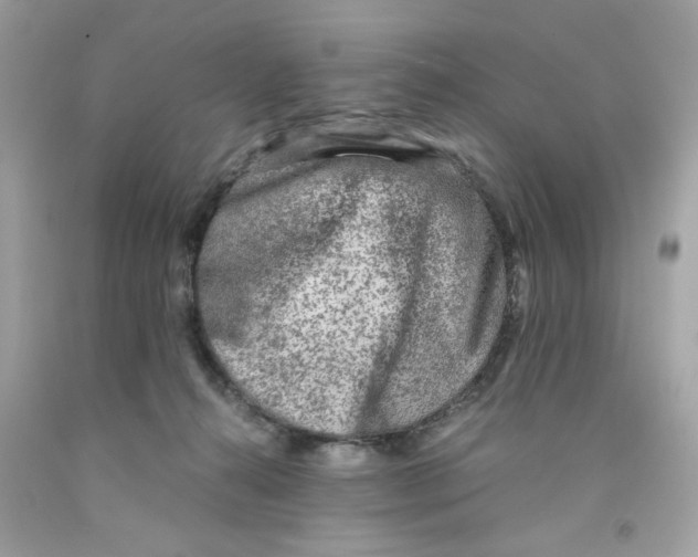 X0000091060272200709041205