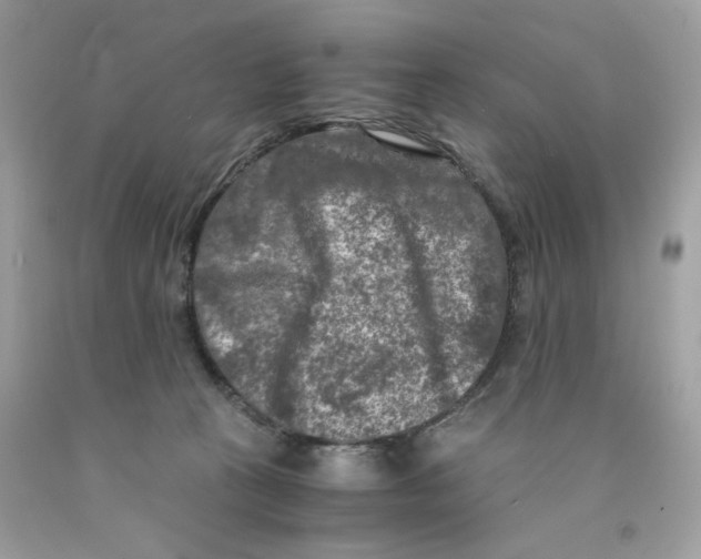 X0000091060273200709041205