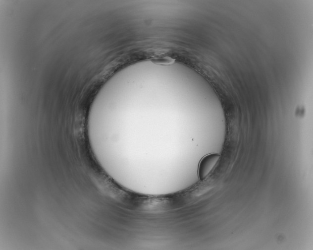 X0000091060274200709041205