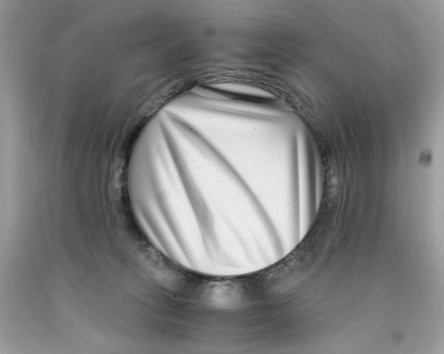 X0000091060275200709041205