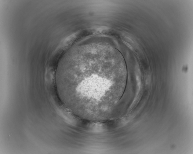 X0000091060276200709041205