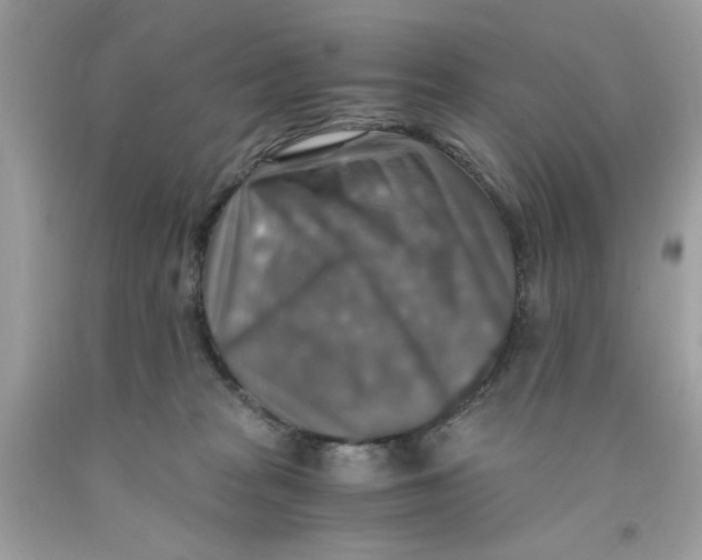 X0000091060277200709041205