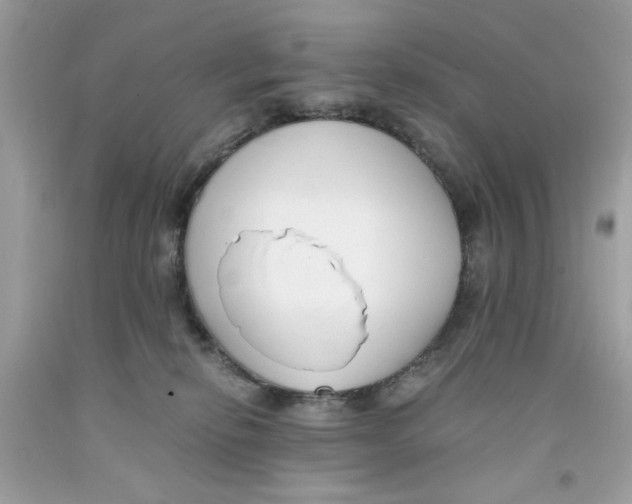 X0000091060278200709041205