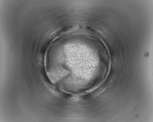 X0000091060280200709041205