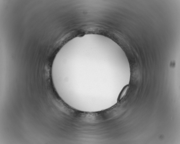 X0000091060282200709041205